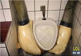 well designed toilet - funny wtf picture
